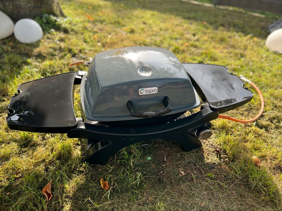 tepro Abington Gasgrill Test