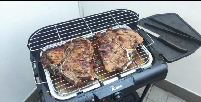 ARDES AR1B01 Elektrogrill