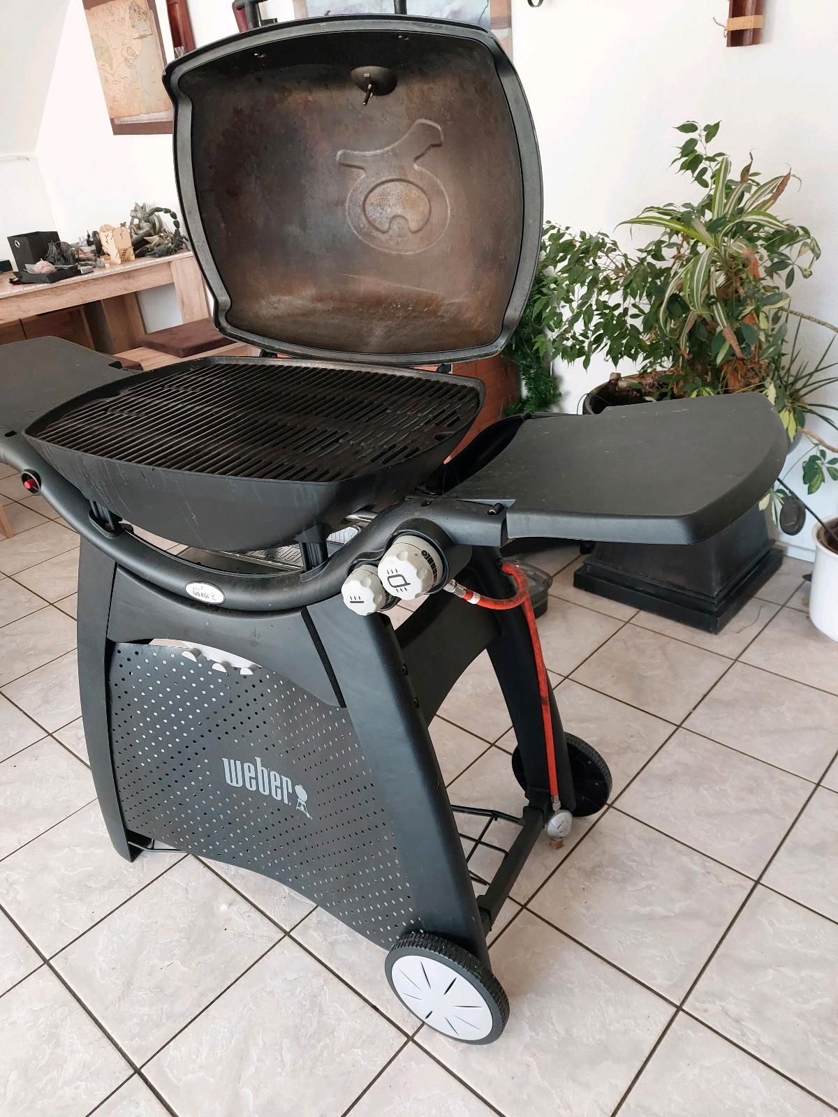 Weber Q 3000 Gasgrill Test