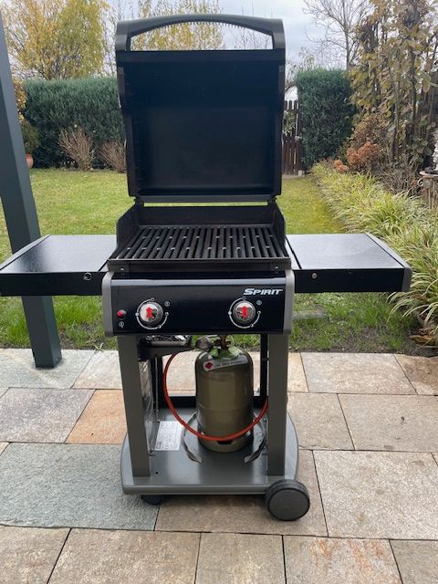 Weber Spirit E-210 Classic Gasgrill Test