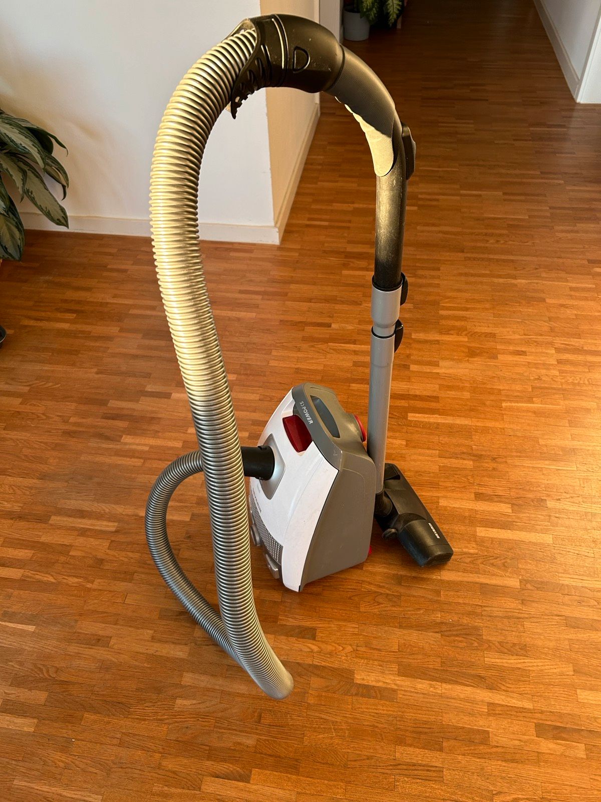 SEVERIN SʼPOWER®-Bodenstaubsauger Test