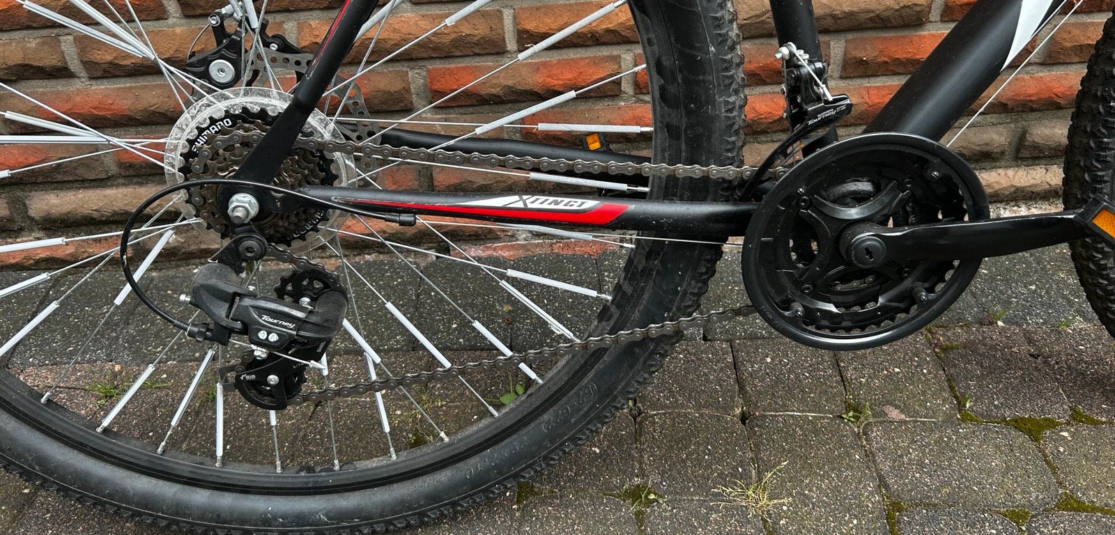 KS Cycling Mountainbike »Xtinct« Hardtail 29 Zoll Aussattung