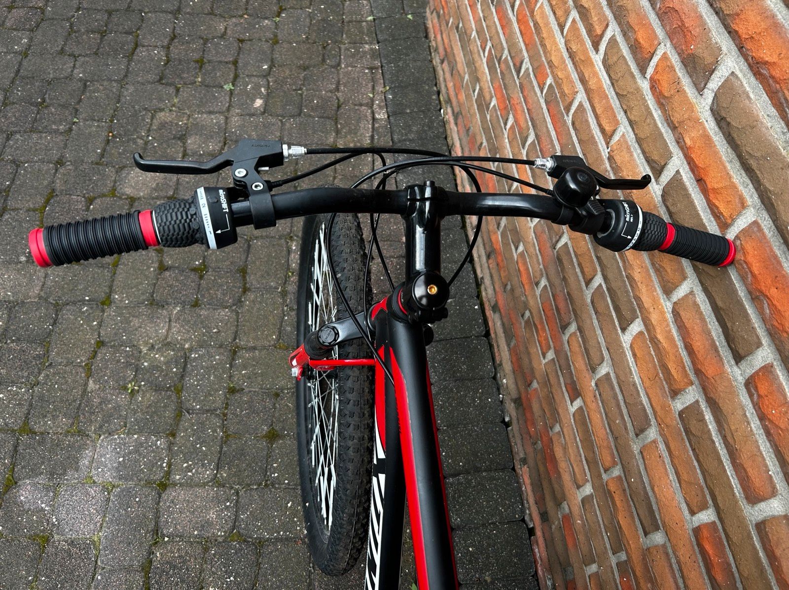 KS Cycling Mountainbike »Xtinct« Hardtail 29 Zoll Test