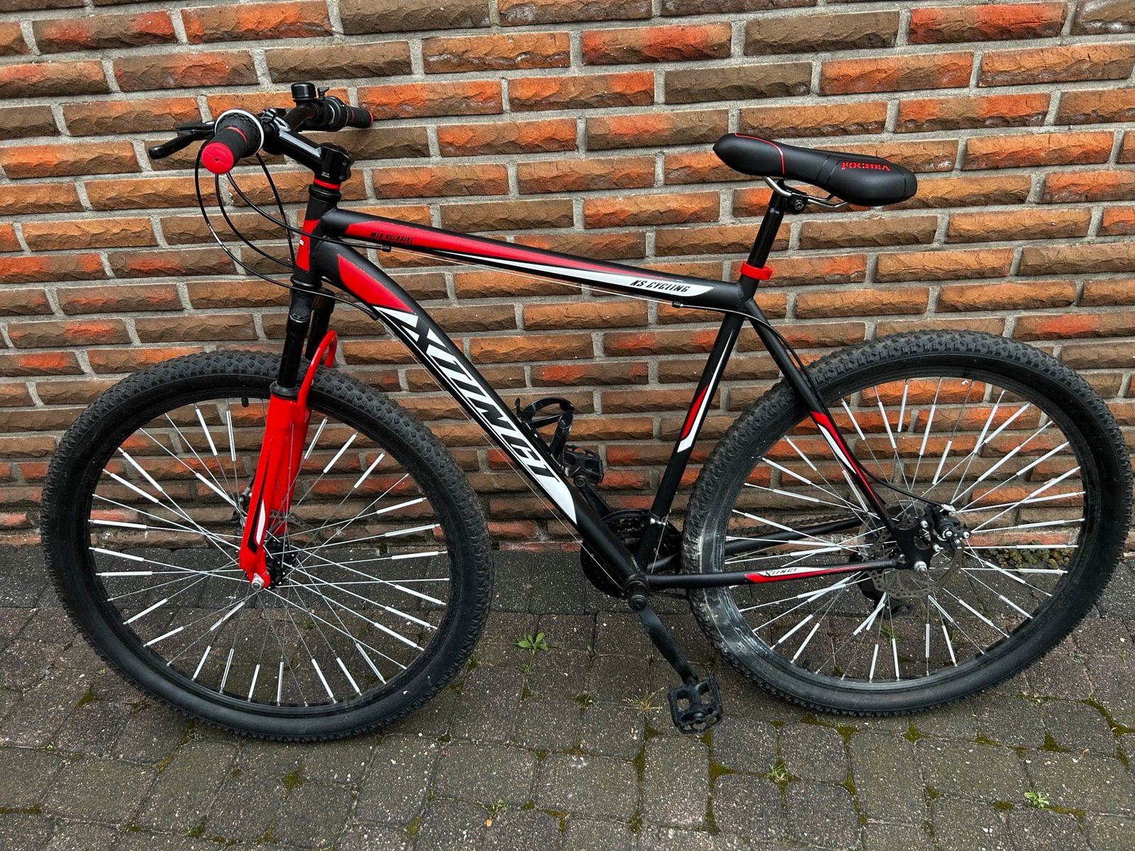 KS Cycling Mountainbike »Xtinct« Hardtail 29 Zoll