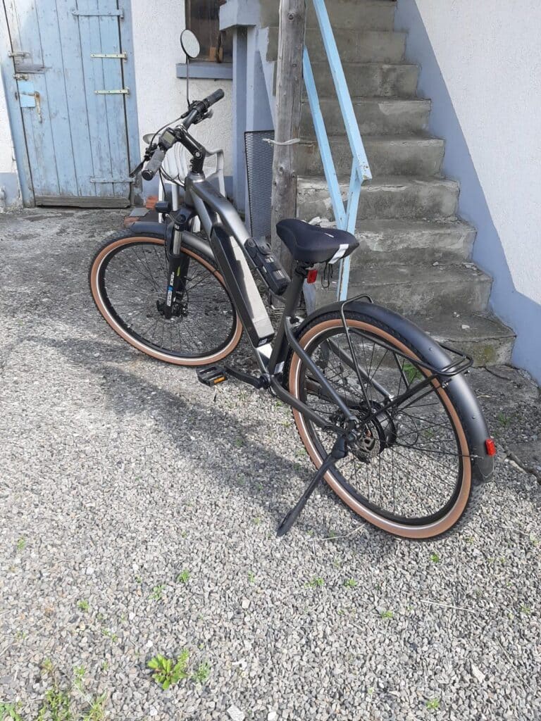PROPHETE 29 Zoll Stack Sport E-SUV Bike Test