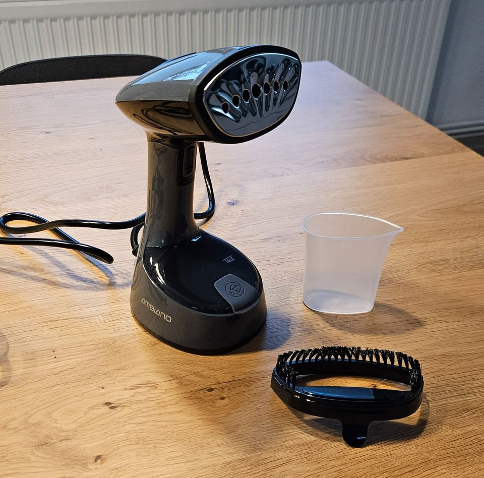 AMBIANO Klappbare Dampfbürste GT-SF-GSF-03 im Test
