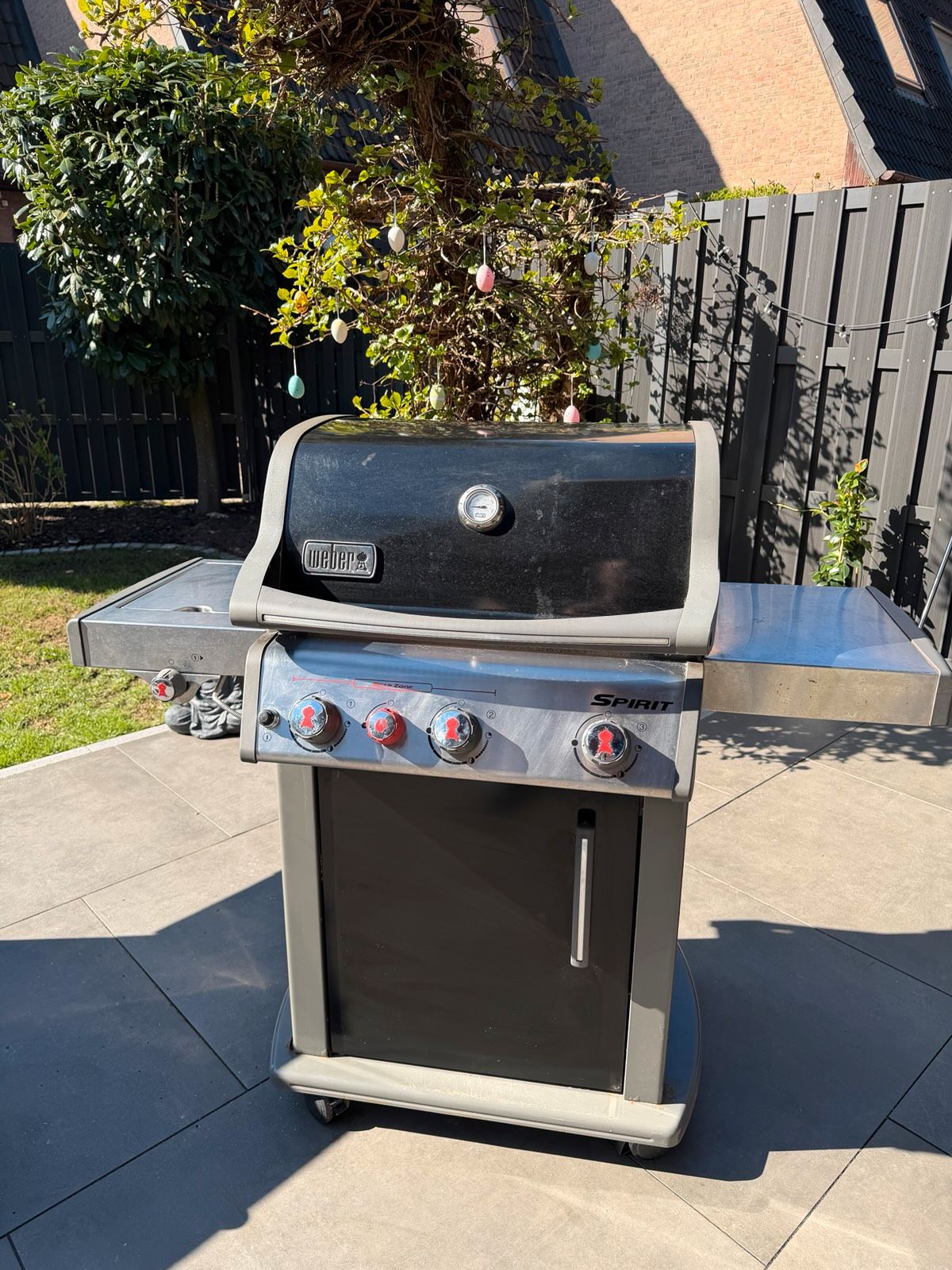 Weber Spirit E-410 Kleinanzeigen Bild 2